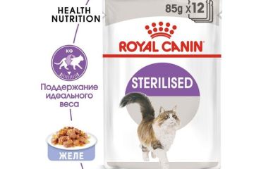 De ce animalele sterilizate au nevoie de hrană specială: ghid esențial pentru proprietari