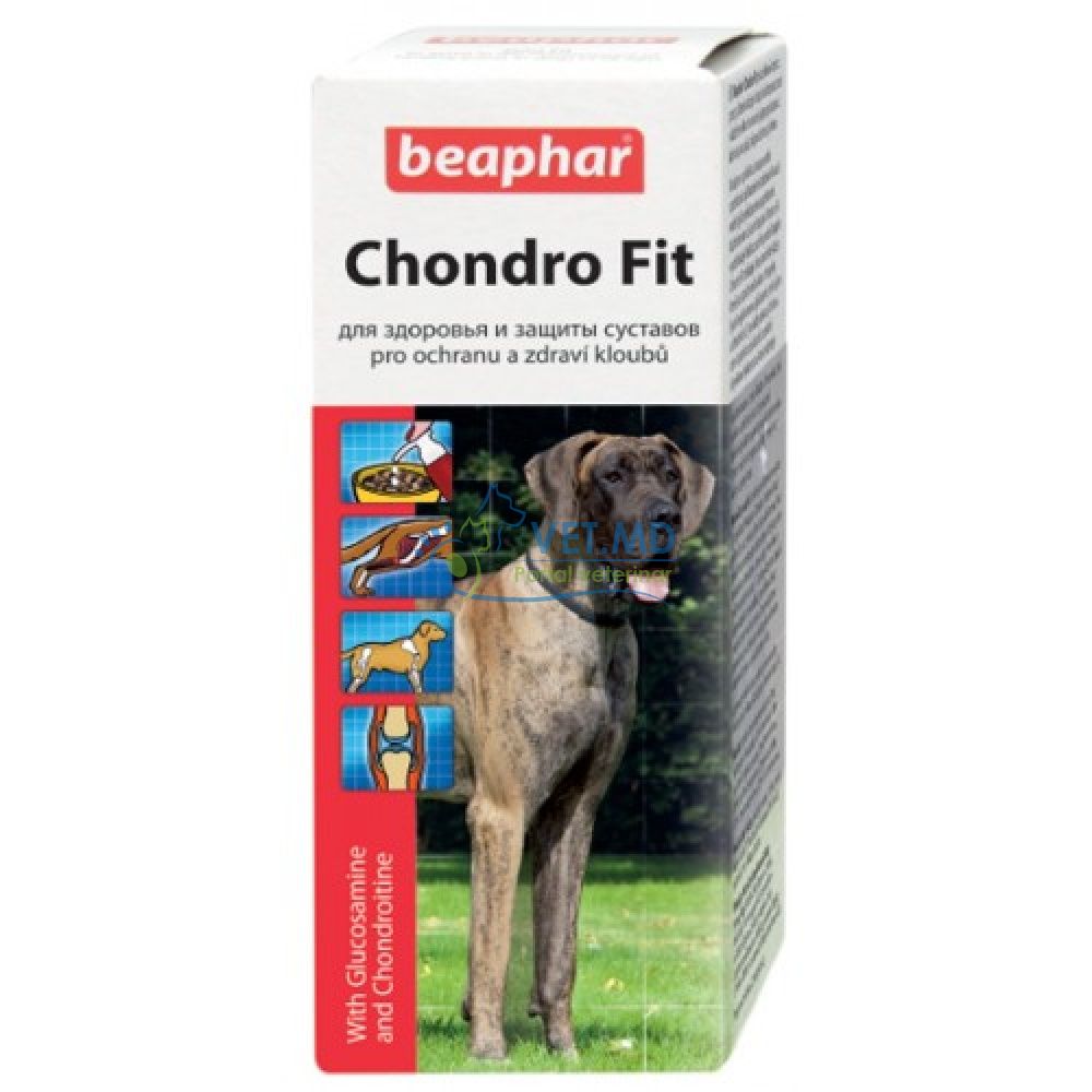 Chondro Fit (защита суставов)