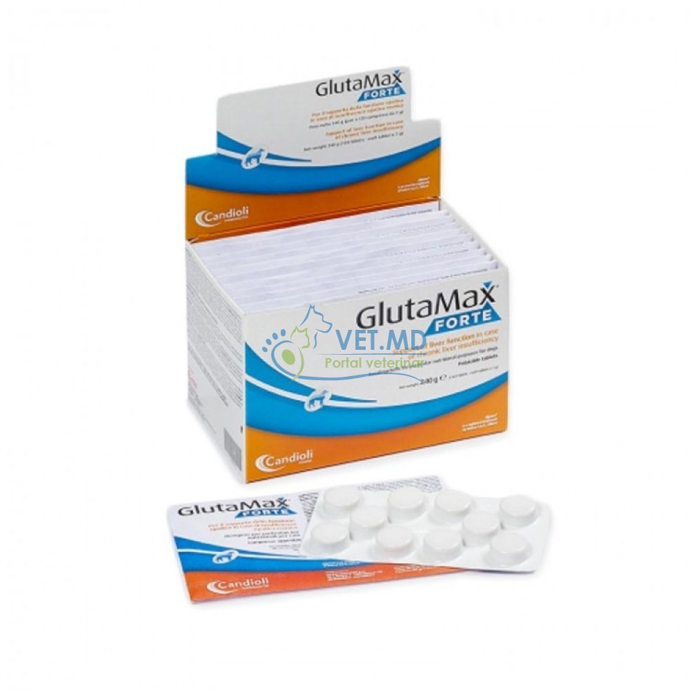 Glutamax forte 10 tablete