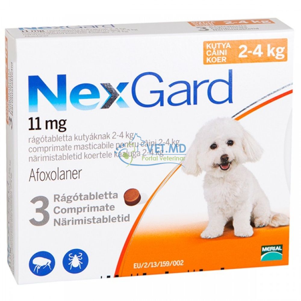 NexGard S для собак 2-4 кг, 1 таблеткa