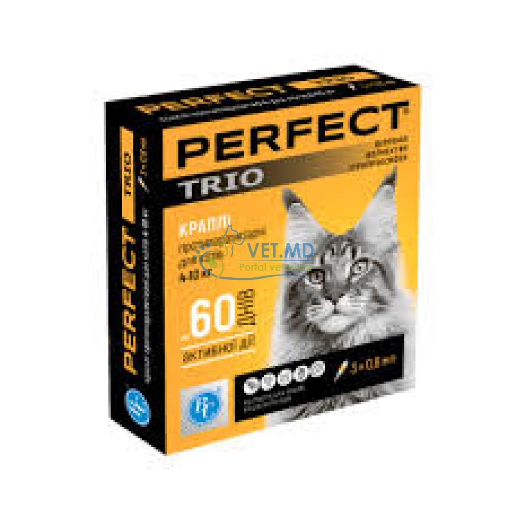 PerFect Trio cat