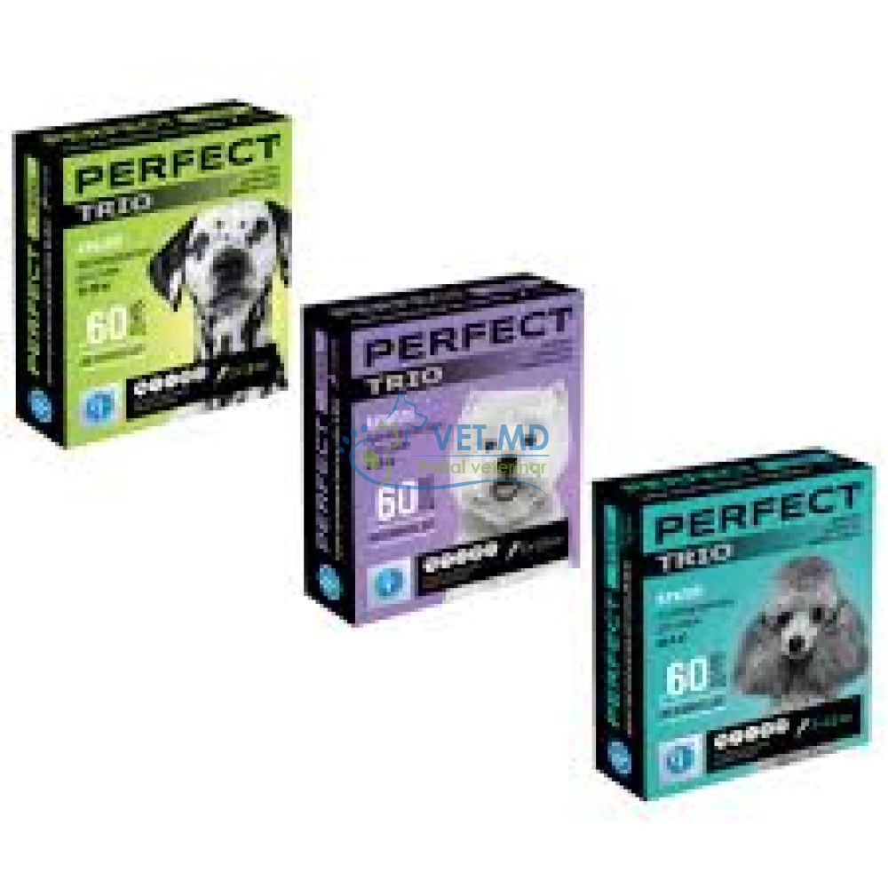 PerFect Trio dog