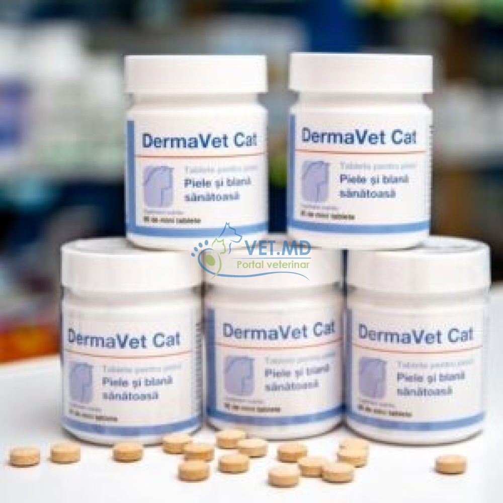 Derma Vet Cat