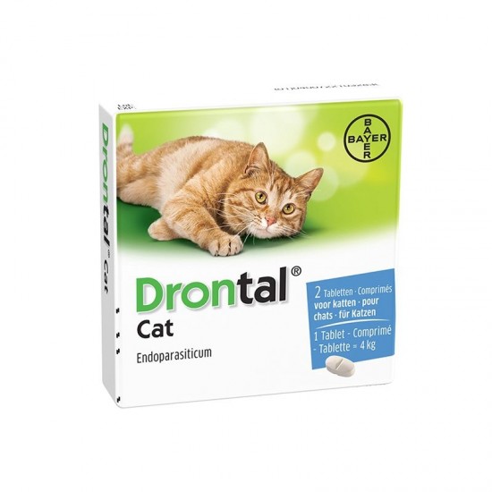 Drontal cat