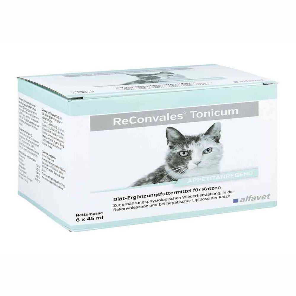 ReConvales cat