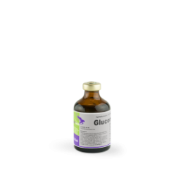Glucortin-20, 50ml